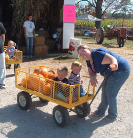 Indiana Pumpkin Patch Photo